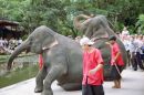Elephant Display, Rose Garden Cultural Show, Bangkok